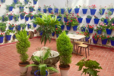 Apartamento Toril. Casco Histórico / Free wifi.