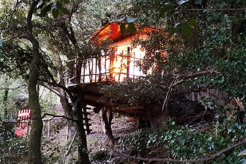 Cabin