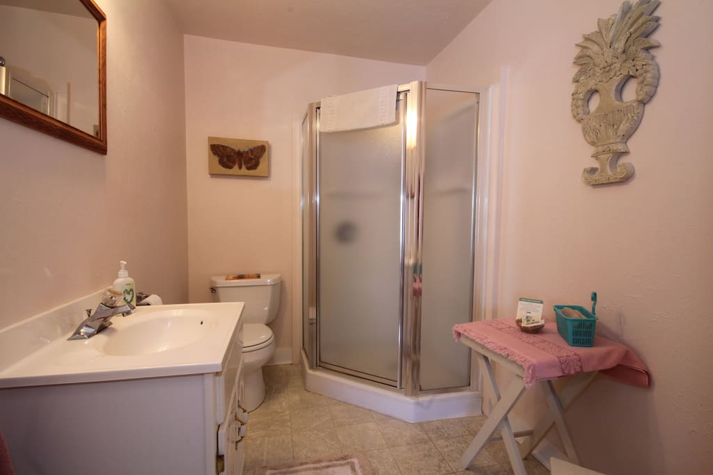 Private bath with stall shower