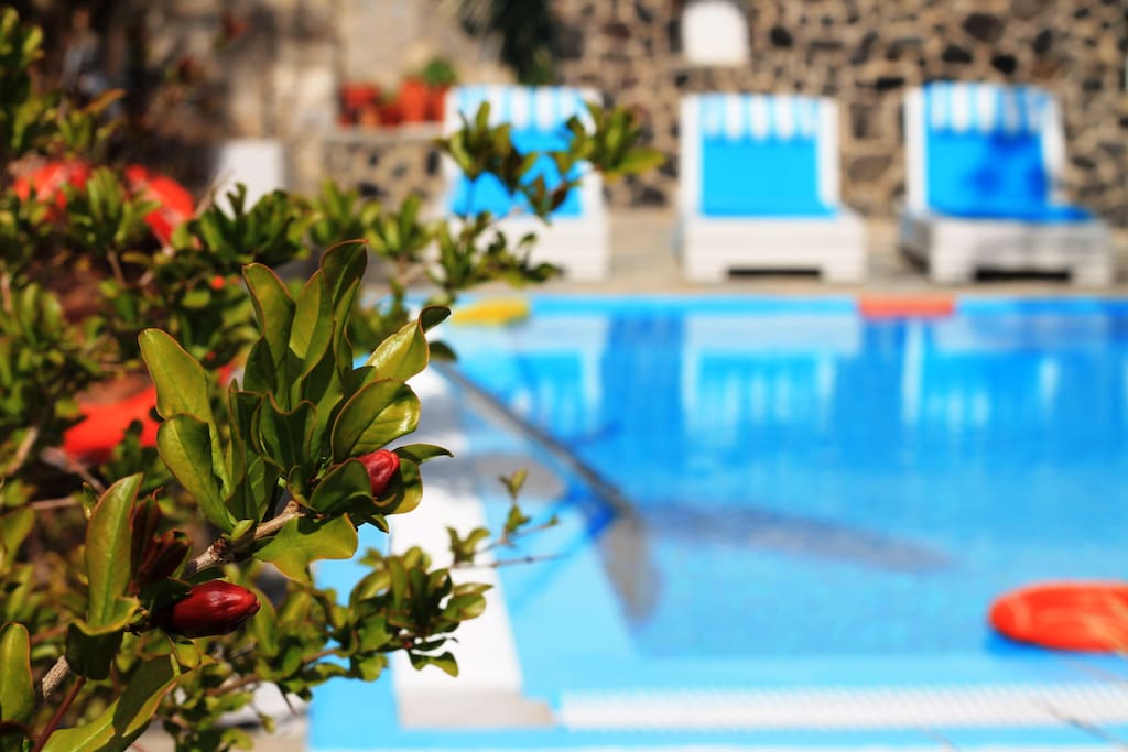 the pool is shared with another 3 studios.