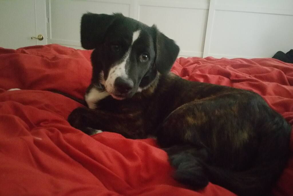 Hi! I'm Chloe!