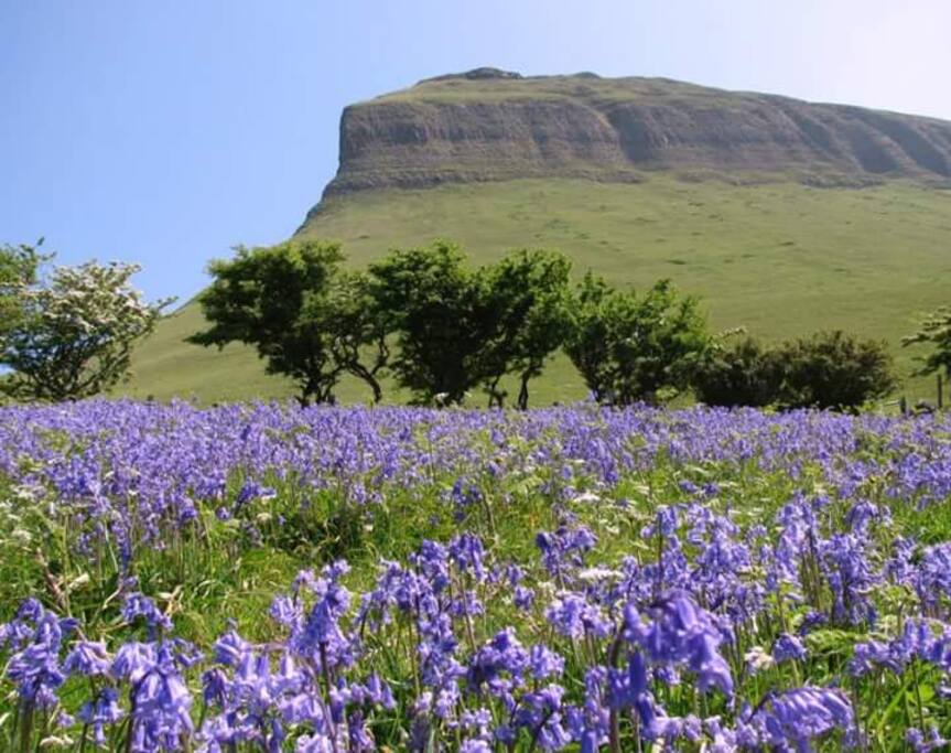 Table Top Mountain