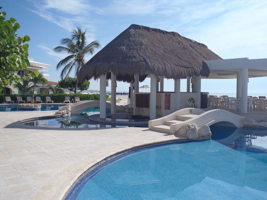 Palapa and swim up bar