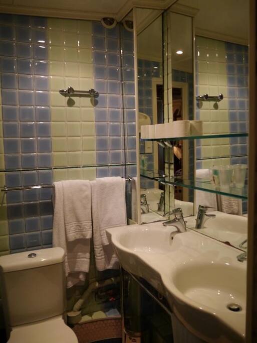 Photo from hotel booking confirmation I received. Bathroom itself may vary.