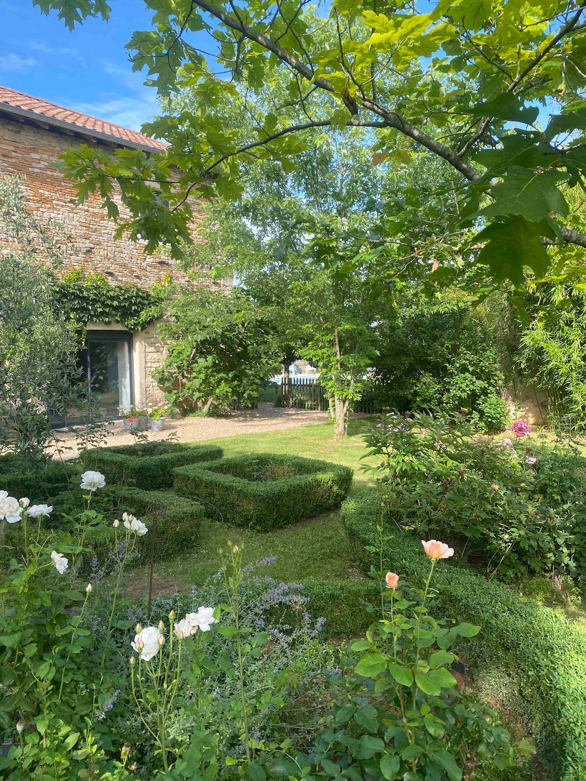 The garden features well-maintained hedges shaped into geometric patterns, accompanied by blooming rose bushes and a variety of greenery. A glimpse of the pool is visible through the lush foliage, with natural light enhancing the outdoor space.