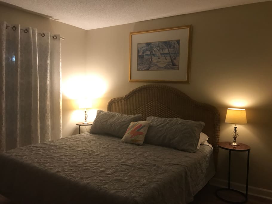 Master Bedroom with King size bed