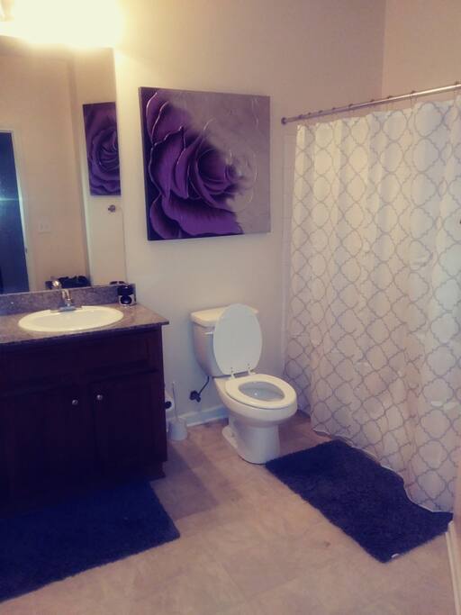 Bathroom space is shared with house guests but primarily private