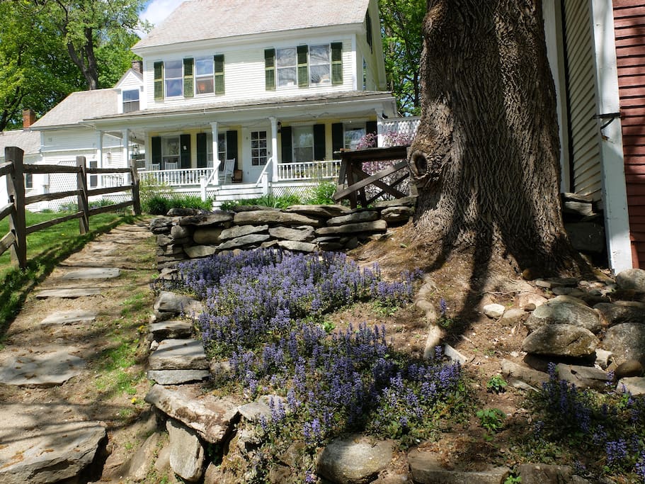 Rockledge Farm in Summer