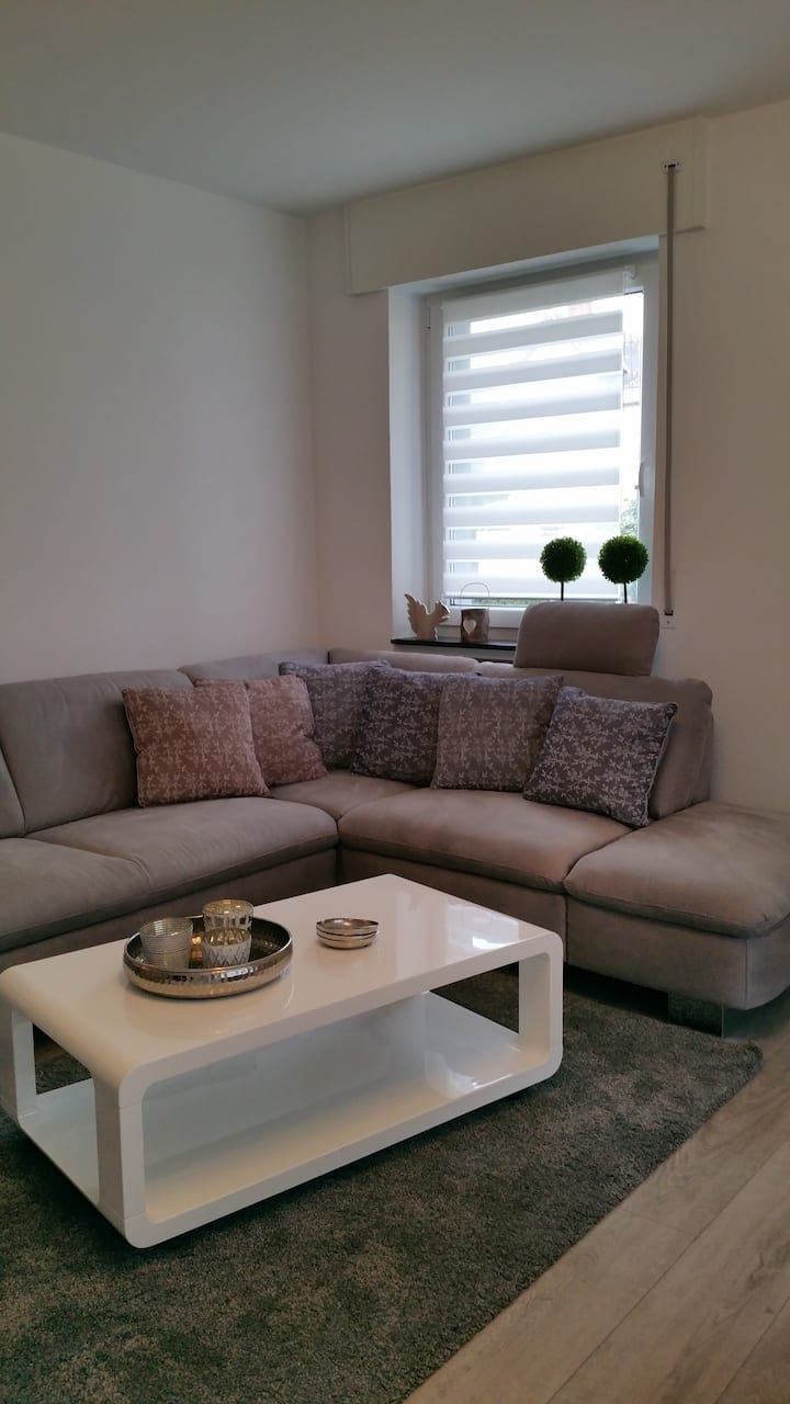 Renovierte,moderne 3zkbb In Lahnstein Bei Koblenz - Lahnstein