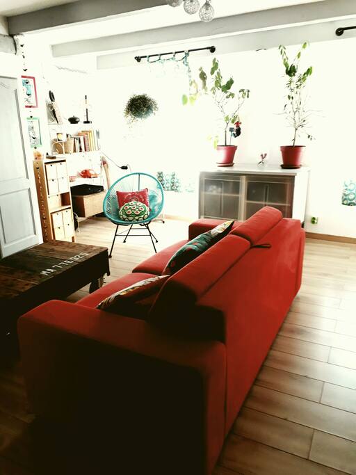 salon