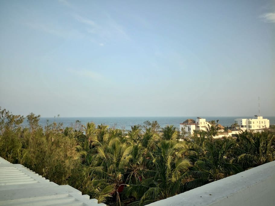 View from the terrace