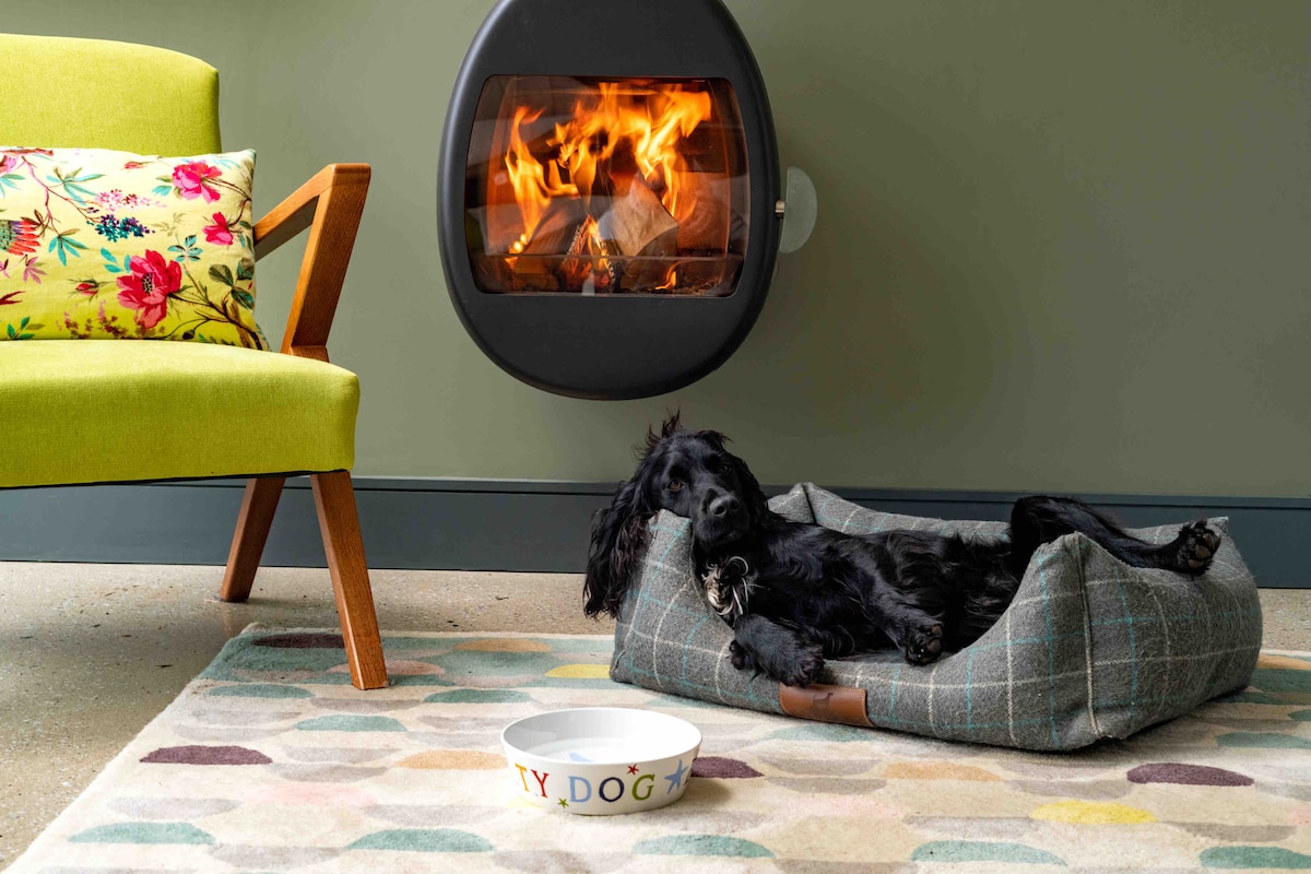 A cozy corner features a black dog resting on a soft plaid bed, positioned near a modern wall-mounted fireplace. A vibrant floral cushion adorns an armchair, while a dog bowl labeled 'MY DOG' sits on a colorful area rug, enhancing the welcoming space.