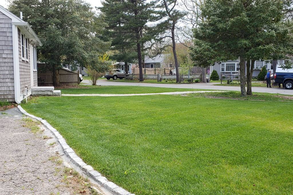 Landscaped