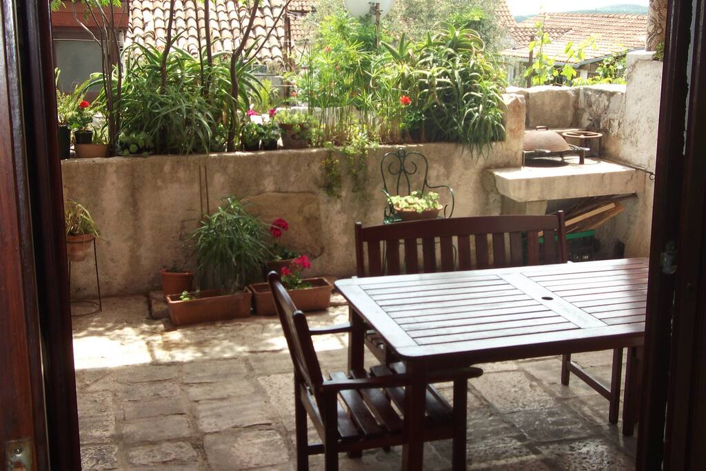 garden from room