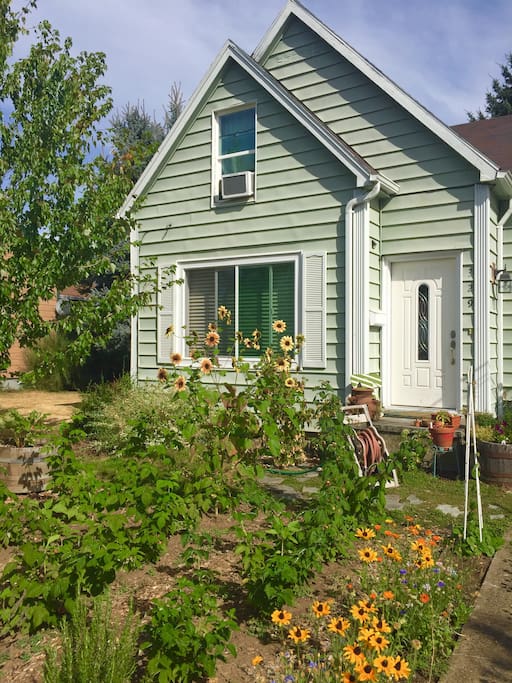 La Casita Verde - The Little Green House
