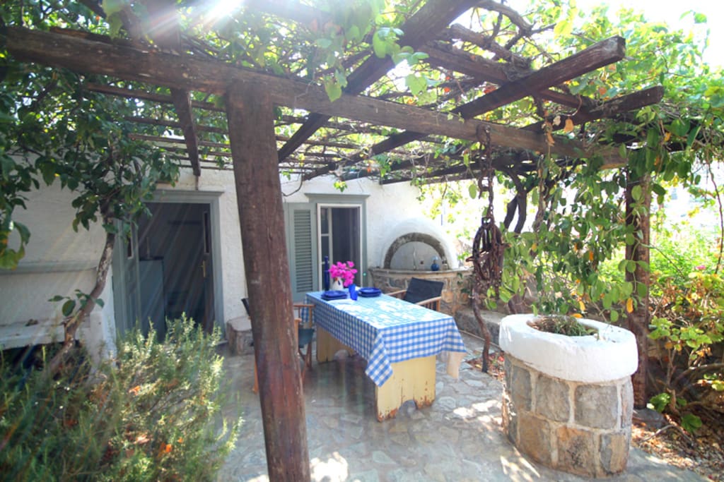 Relax under the grape vines
