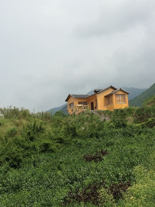 房子远景,夏天时的水果园