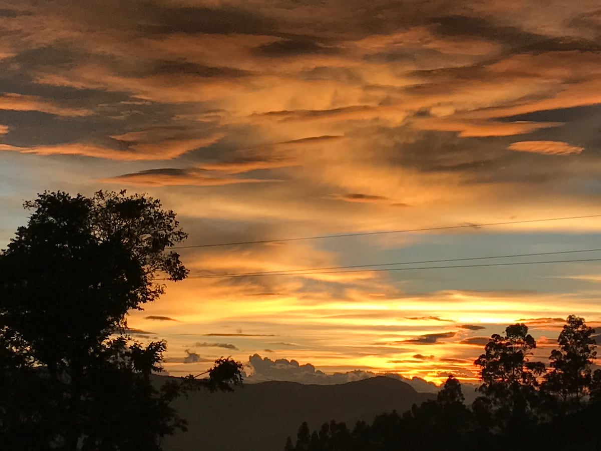 A vibrant sunset is captured, displaying shades of orange and yellow across a textured sky. Silhouettes of trees are visible in the foreground, contrasted against the colorful backdrop of clouds, highlighting the natural beauty of the surrounding landscape.