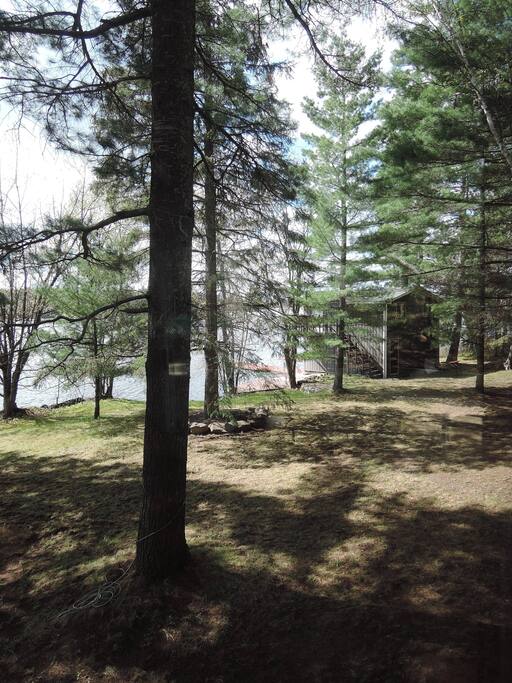 View of the front yard