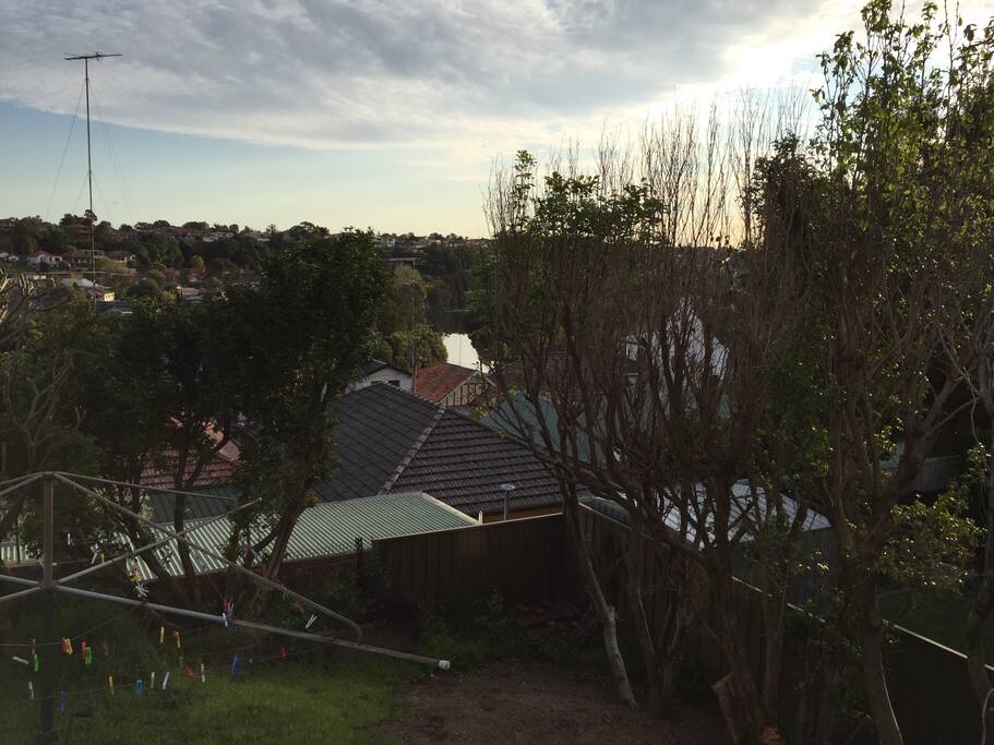 Peaceful back garden outlook with glimpses of the Cooks River