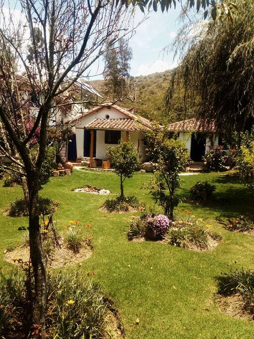 view of the garden