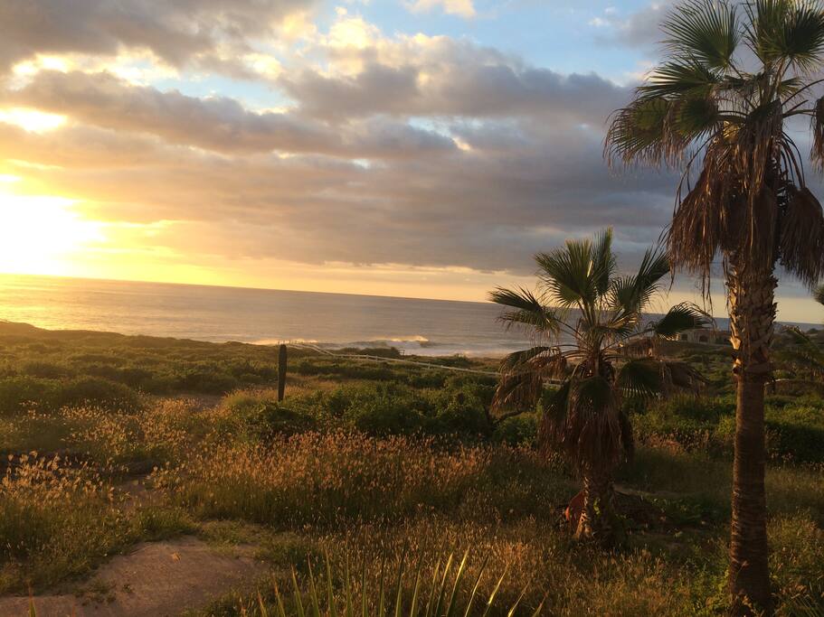 View from the front yard at sunset over the Pacific ocean
