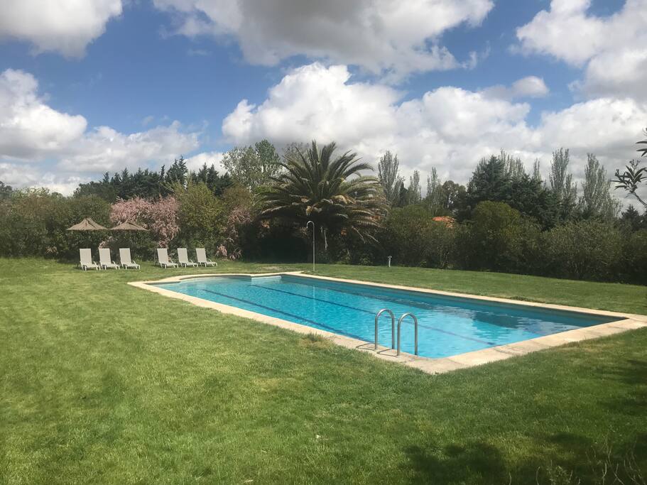 Vista Piscina + Jardín