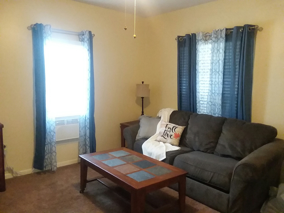 Living room. Sofa pulls out into a full size bed