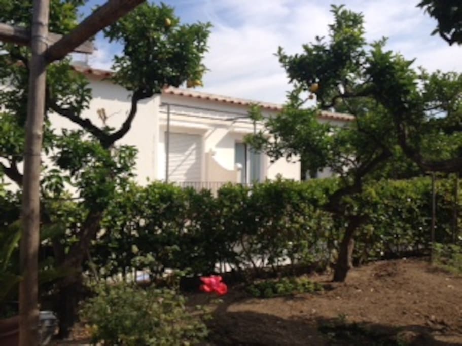 giardino