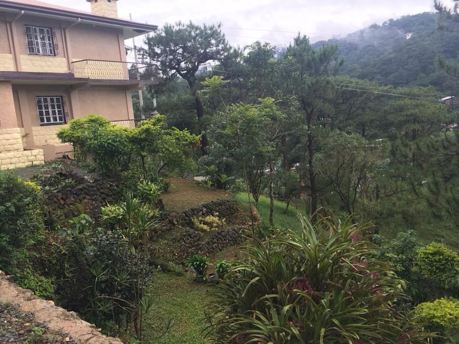 The property