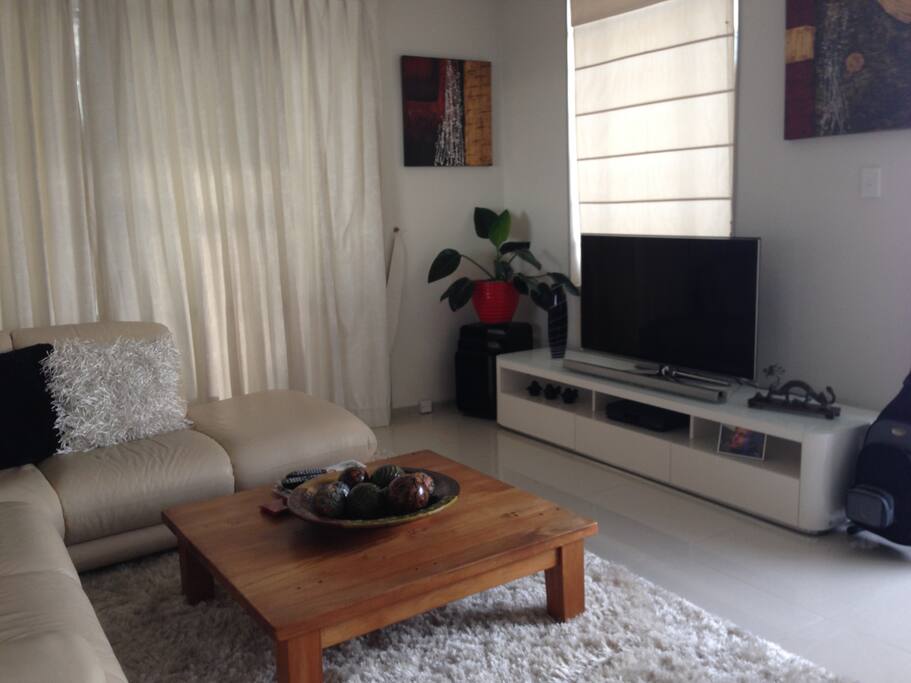 another view of the living room...