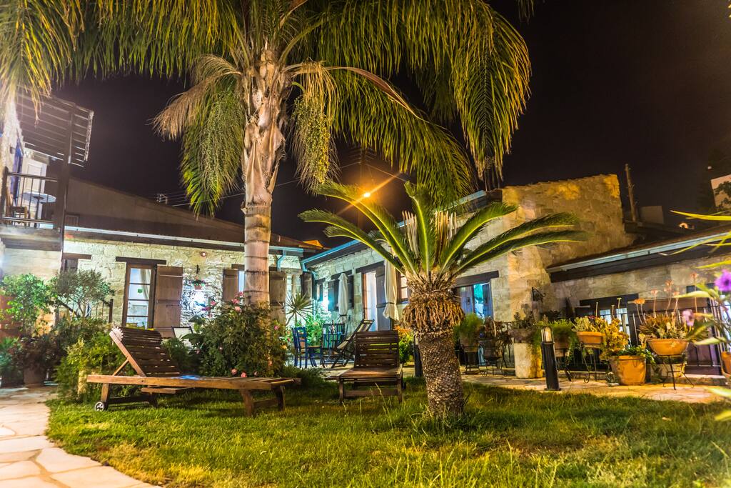 The Garden by Night
