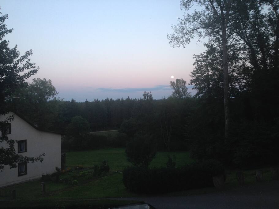 Guten Morgen!