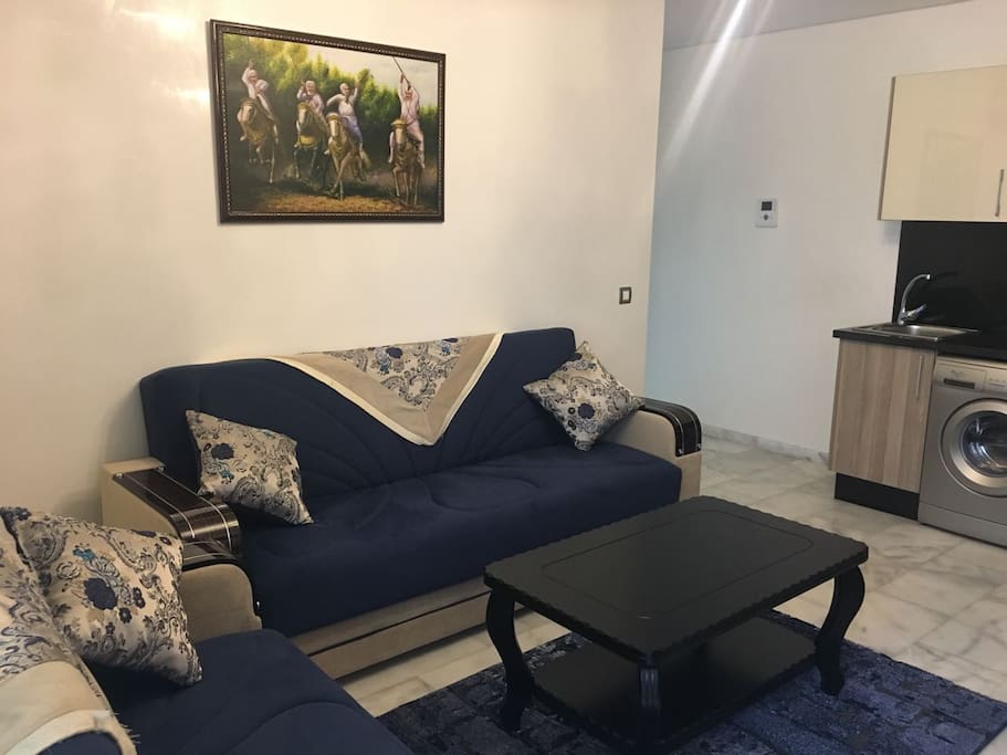 Le Salon de L'appartement avec un lit clic-clac