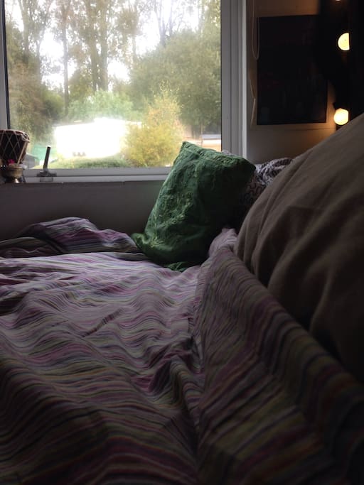 View into the garden from the bed