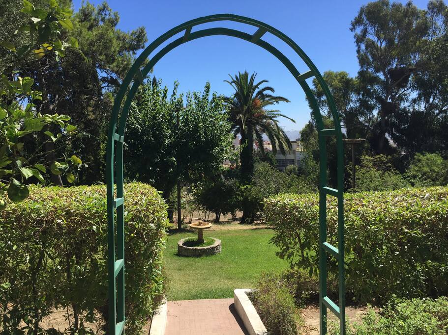 Garden