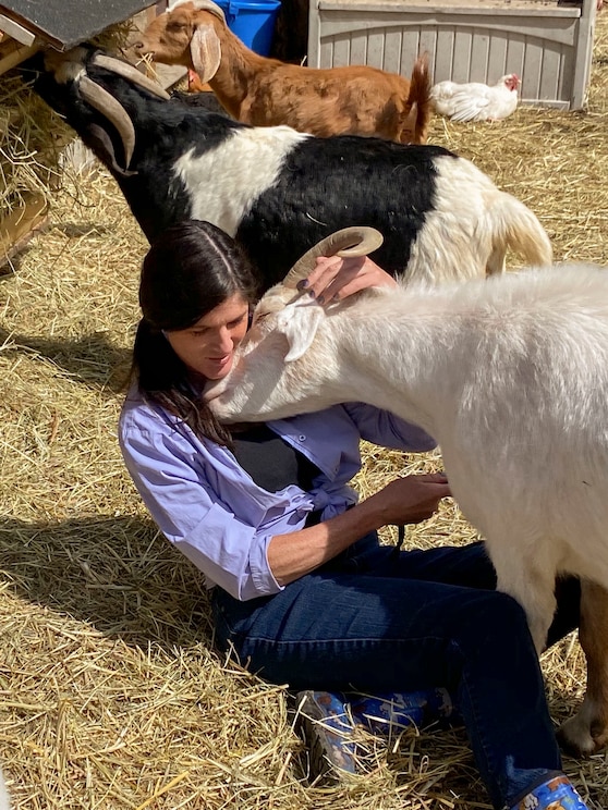 Mostrar imagem fornecida pelo anfitrião em ecrã inteiro
