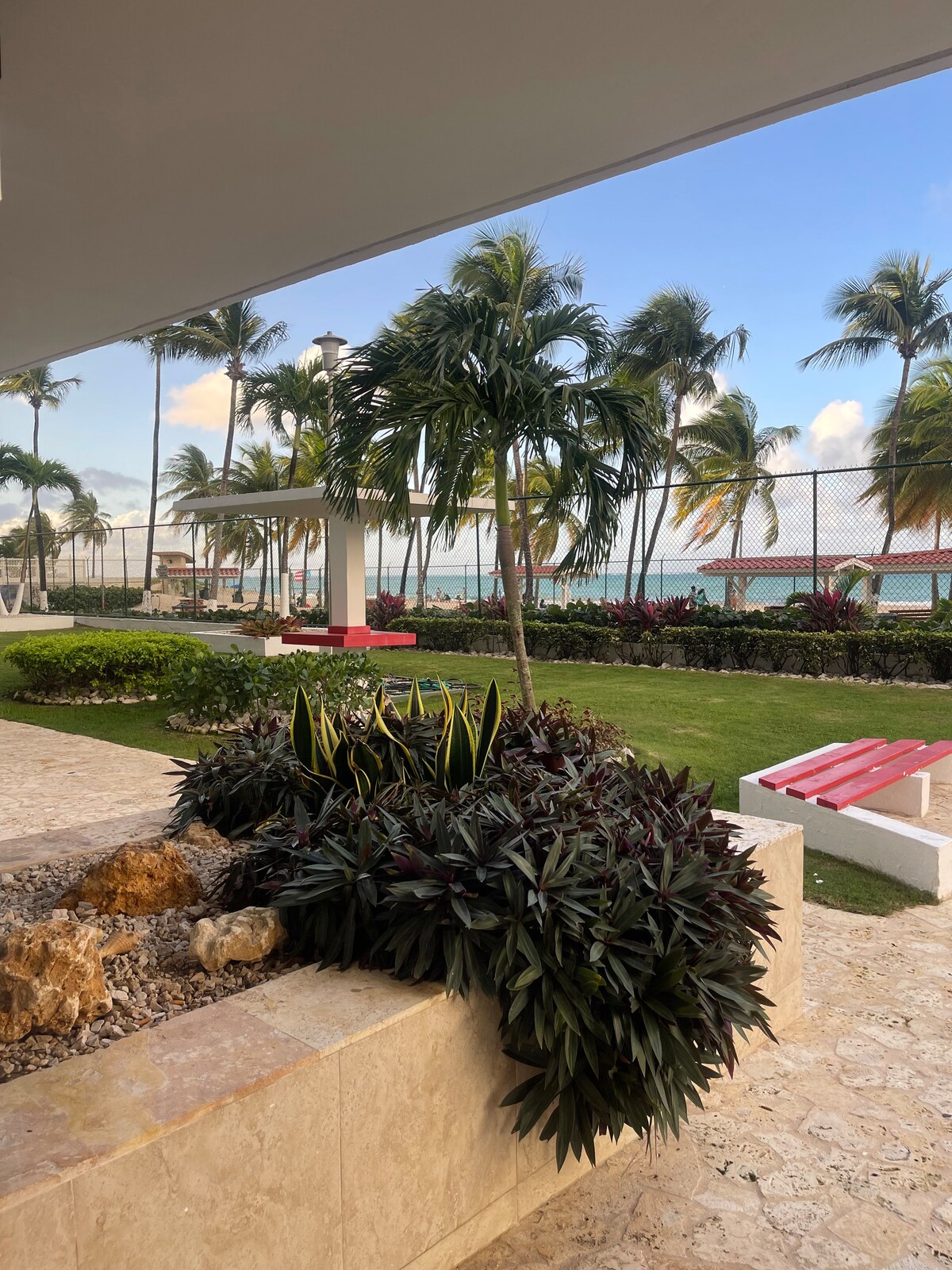 A landscaped area features tropical plants and a small water feature, with vibrant green grass and palm trees in the background. The ocean is visible beyond a fence, suggesting a relaxing outdoor space near the water.