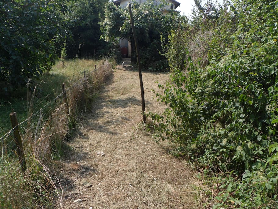Espace jardin