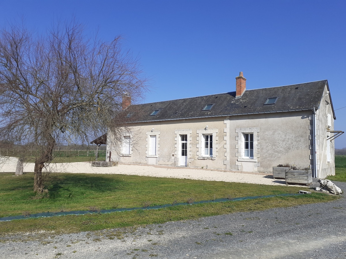 A spacious country house with a neutral exterior features multiple windows and a central entrance. The surrounding grassy area is complemented by a tree, with a gravel path leading to the house. The clear blue sky enhances the serene rural setting.