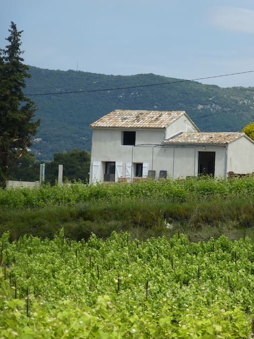 terrasse sur la vigne BIO