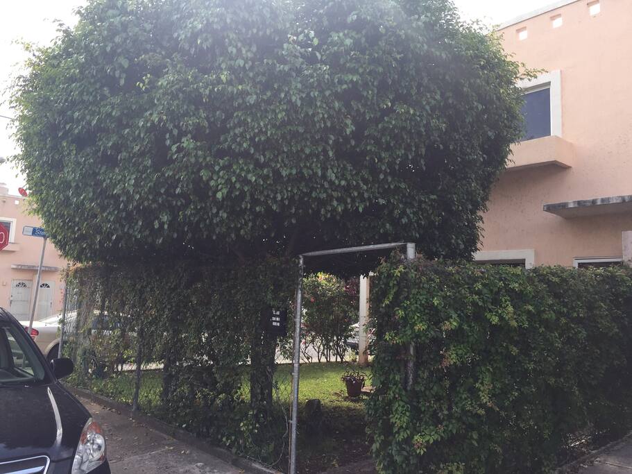Frente de la casa
