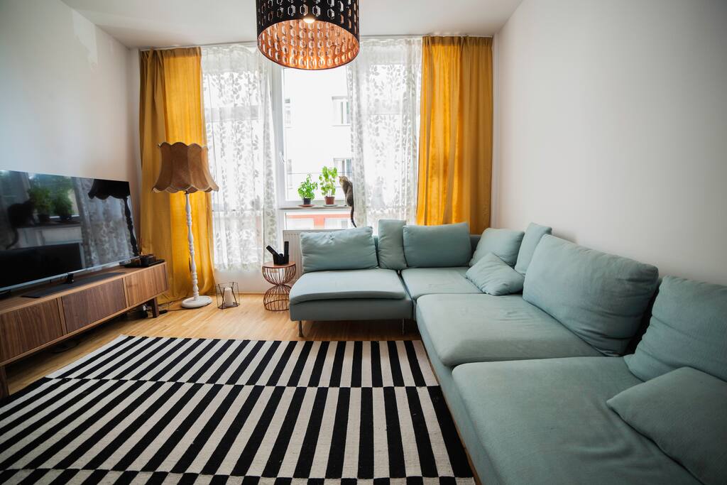 our living room. This time with Buju, our adorable and very shy cat