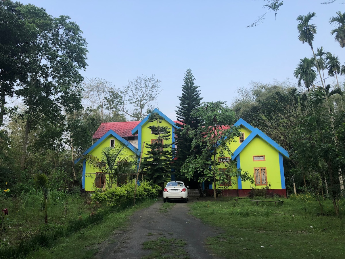 A vibrant two-story home is surrounded by lush greenery, featuring bright yellow walls with blue trim. The structure includes multiple windows with wooden shutters. A gravel path leads to the entrance, where a parked car is visible, adding a sense of accessibility.