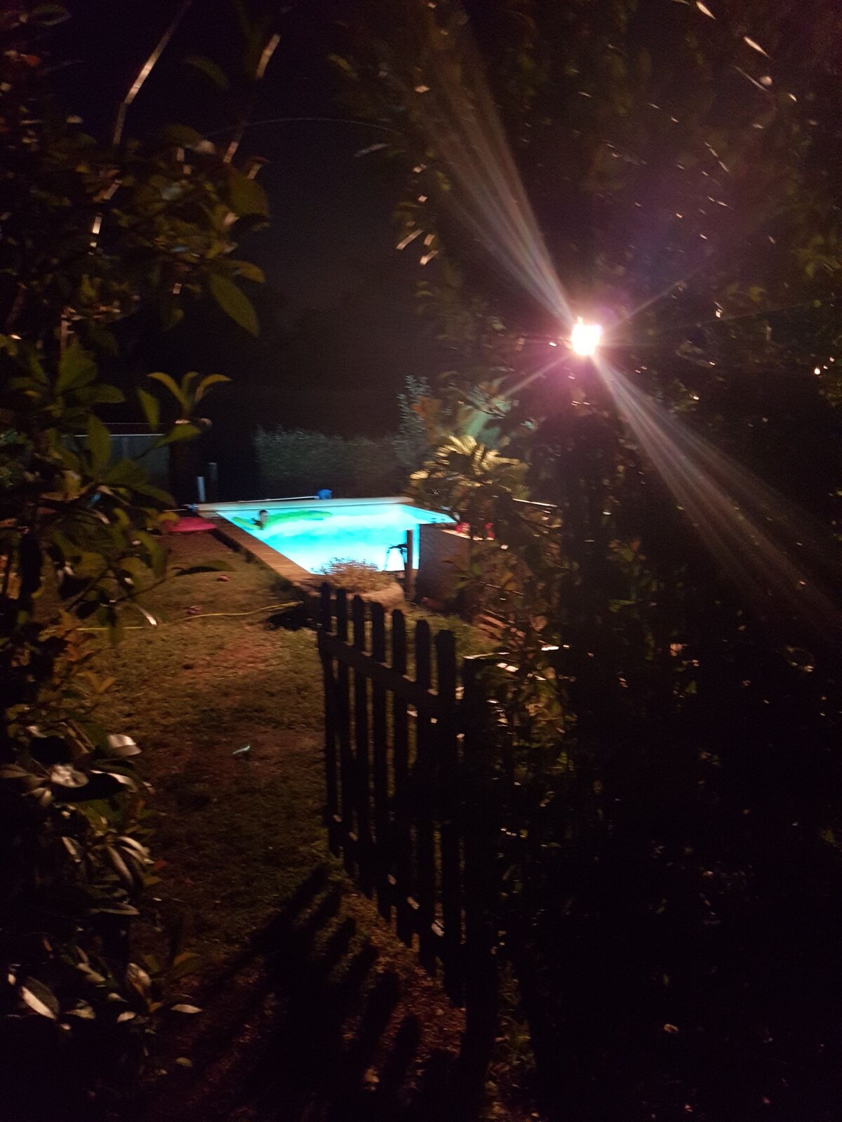A serene nighttime view of a pool, surrounded by lush greenery. The pool is softly illuminated, reflecting calming blue tones. A wooden fence provides a frame to the scene, with a faint light source adding gentle brightness to the garden area.