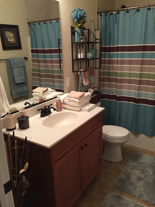 Full bath and shower.