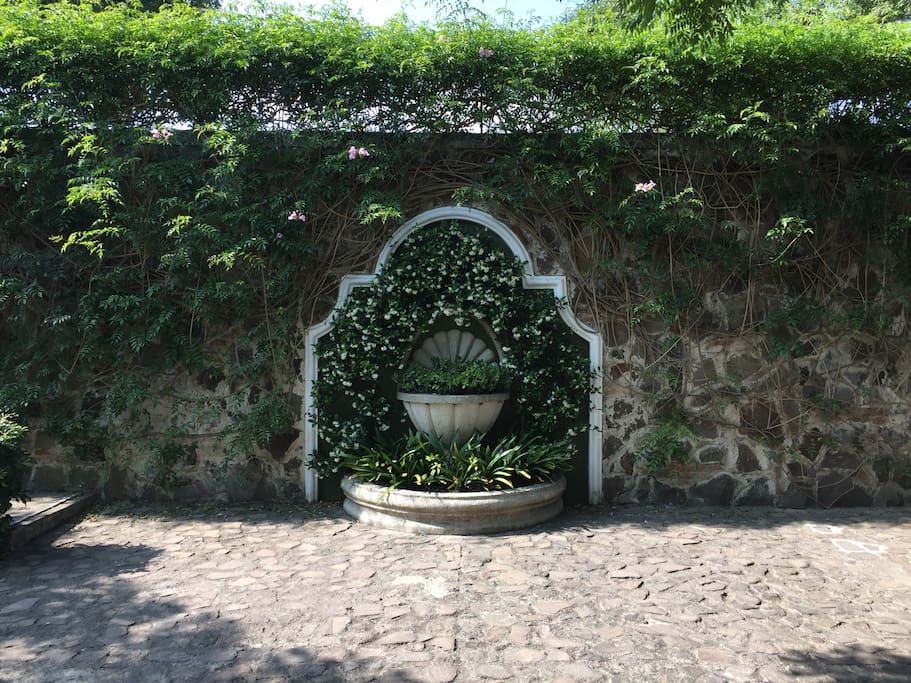 Lots of greenery