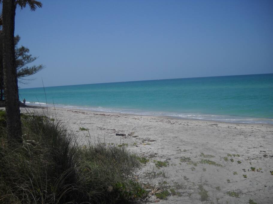 Your Own Private Beach to Lounge in the Sun