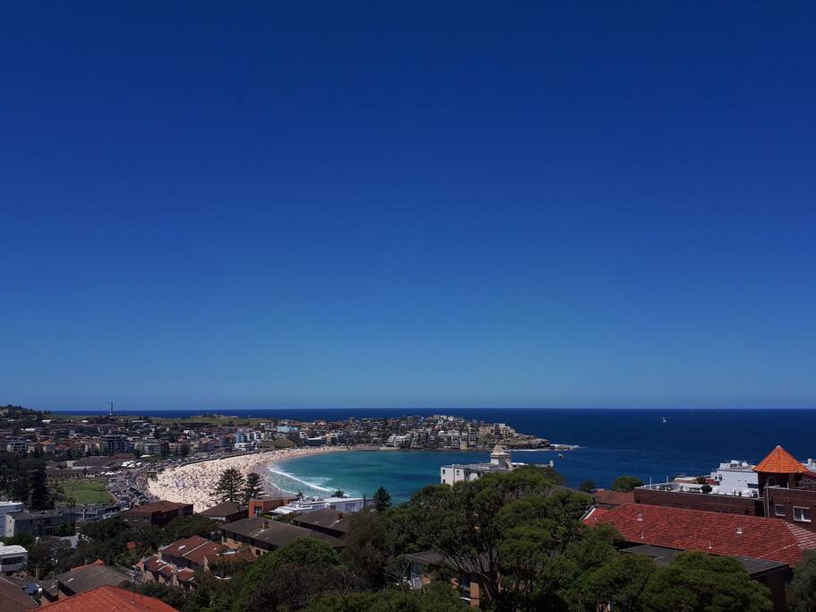 View from the Balcony and Bedrooms