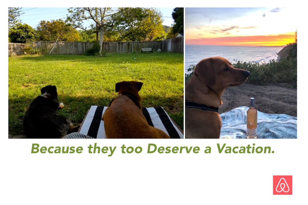 Dogs Welcome!